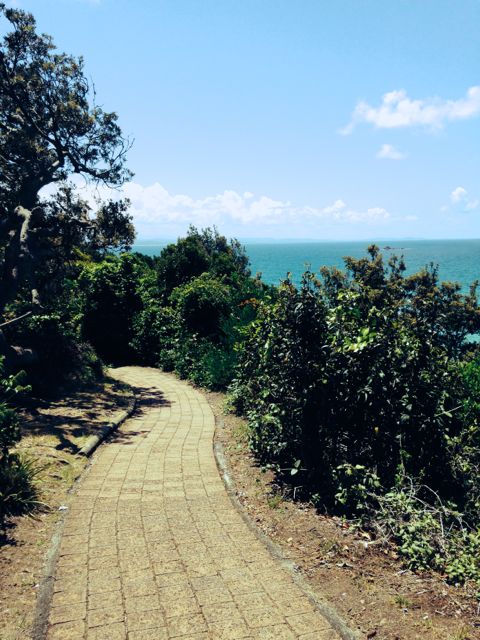 The path down to the beach - do you see the color of that water???