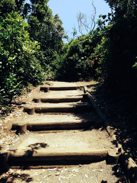 Following the path down to the beach