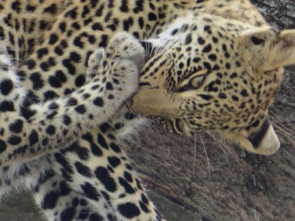 But this is my favorite shot.