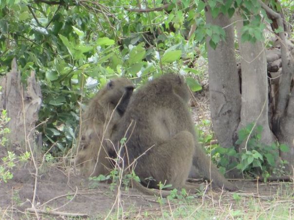 Private conversation