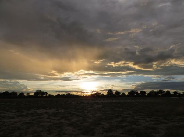 African skies at dusk are the most beautiful