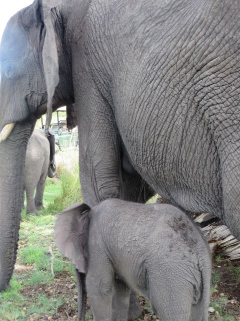 And falling in love.