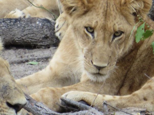 Tired but still gorgeous