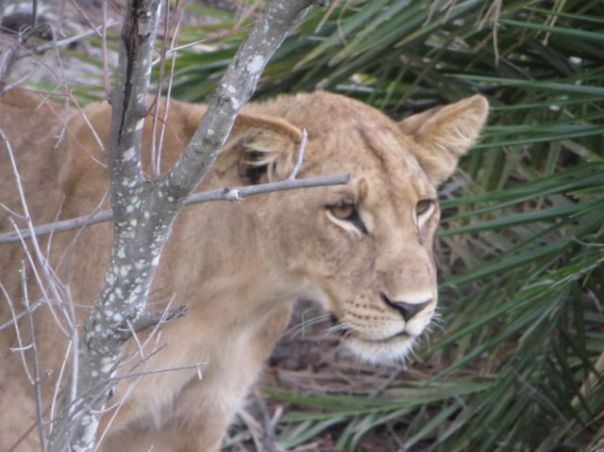 Time for a little action