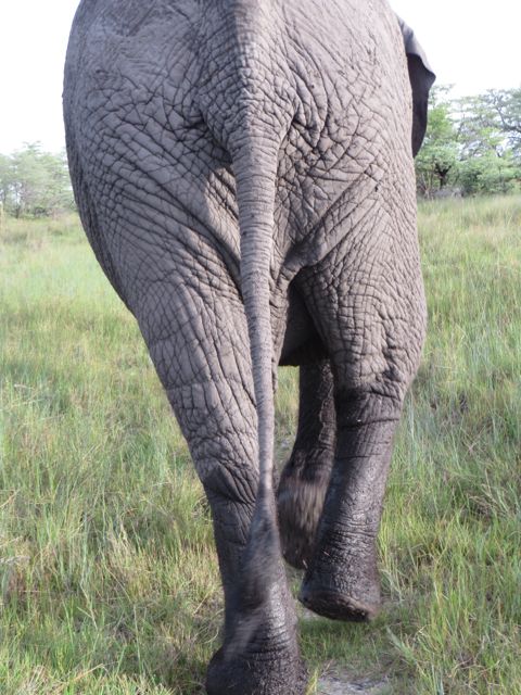 I;m framing this one