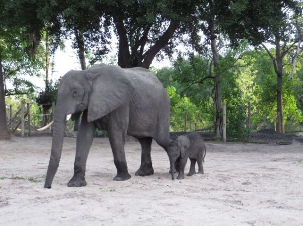 Baby Nalady in the bona!