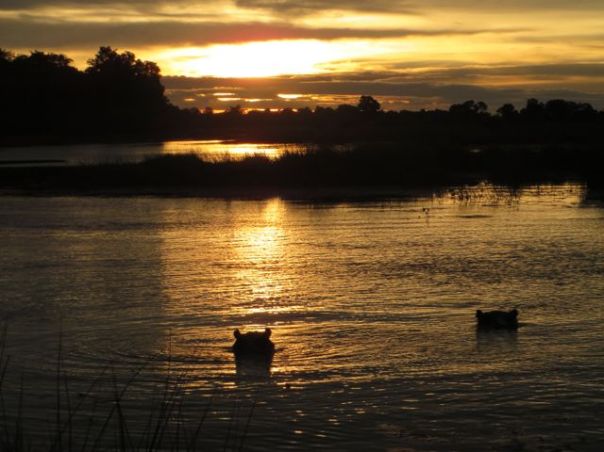 Sundown over the hippo pool!!