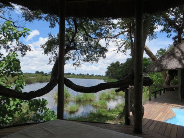 My view from my outdoor bed.