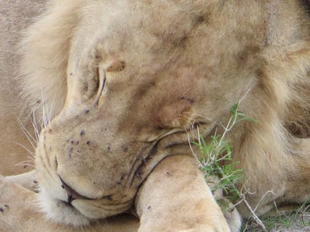 But mushy and delicious...