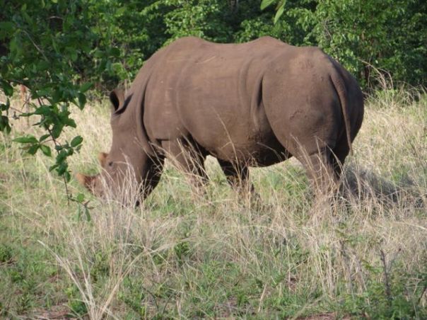 This is the male...I was on foot....and afraid...