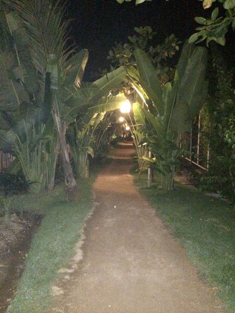The path back to my room