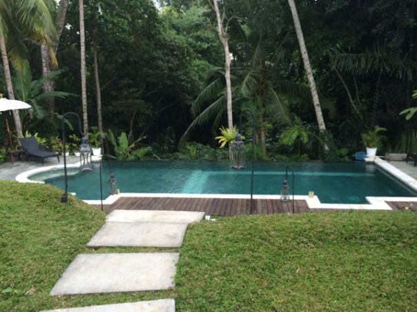 The pool at the edge of the jungle