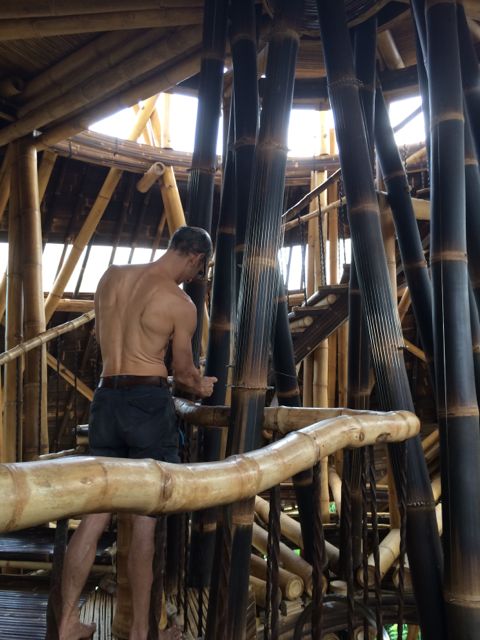 He plays it with his fingers like a harp or guitar,or a bow, like a violin.