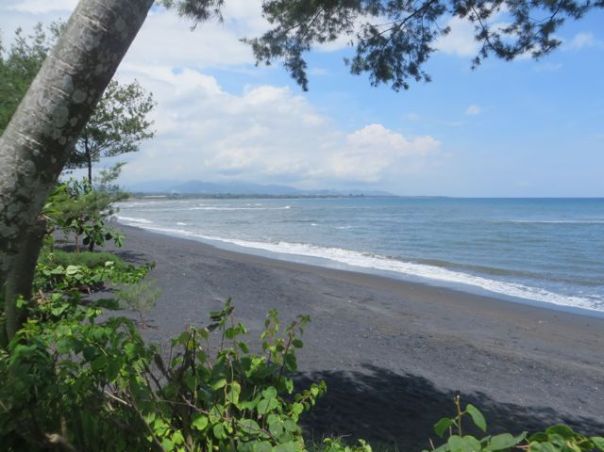Black volcanic ash beach. Very cool to look at, and VERY hot to walk on in the sun.  