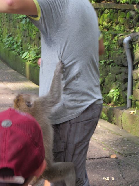 Aggressive little shits.