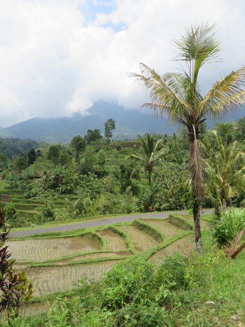 Mountains behind Jatiluwah