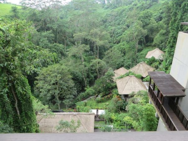 The end of the path, looking down at the spa and beyond.