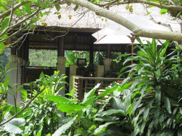 The Spa at Maya Ubud