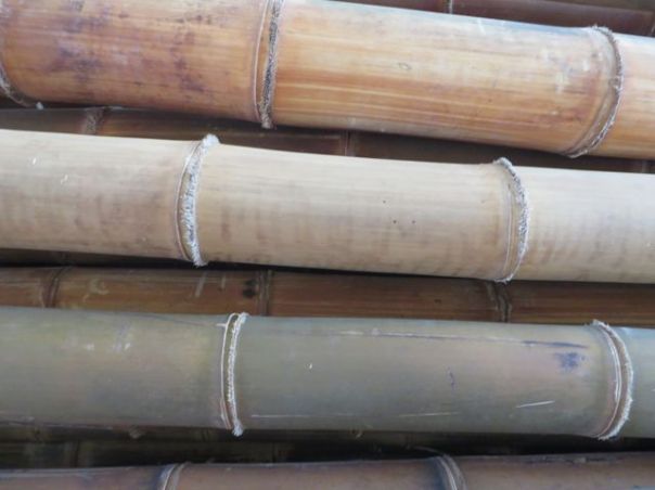 Bamboo at PT Bamboo Pure