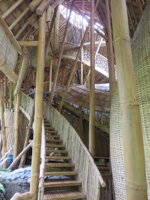 Wish my camera could see what my eyes see!