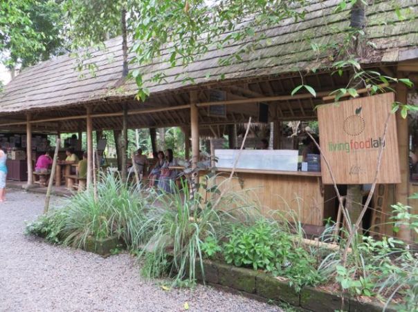 Green School, entrance where parents and kids congregate, and eat!