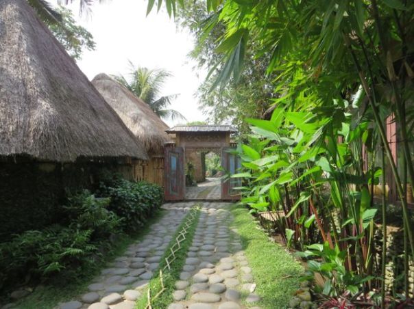 Just loved the way they protected the grass on this path...