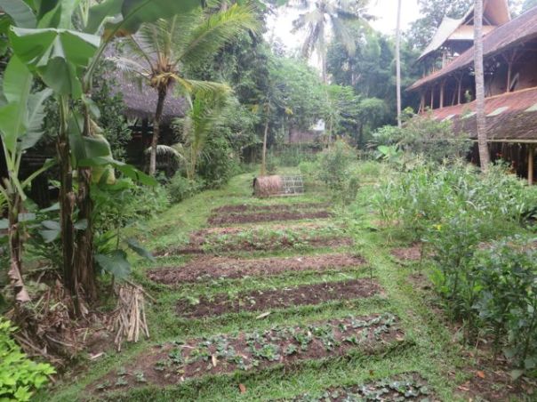 Food garden...enak!