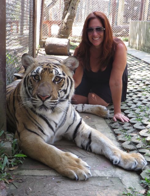 NOT a stuffed tiger.