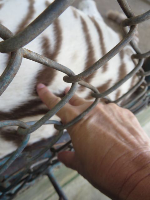 Dumb...but I just had to.