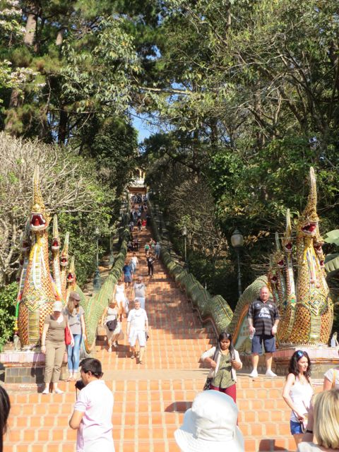 309 steps up to Wat Phra That Doi Suthep