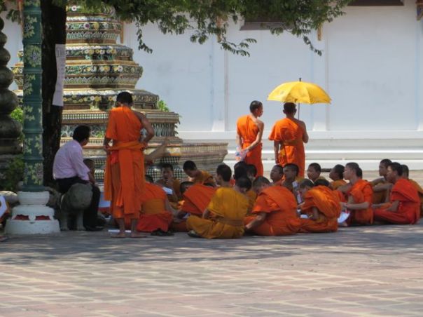 Lessons under the trees!
