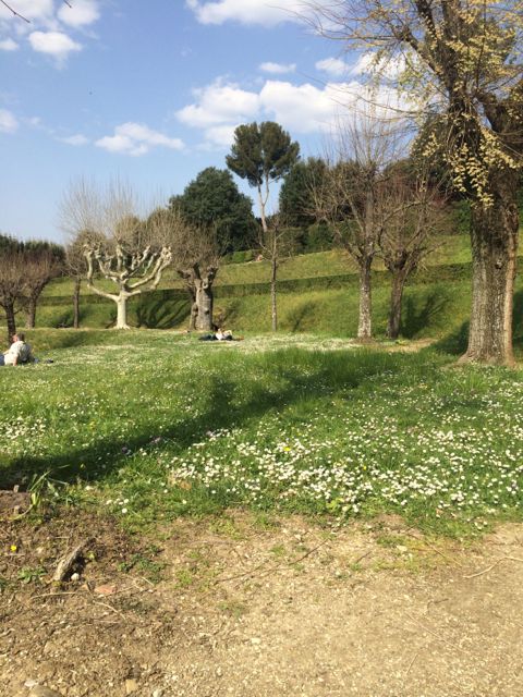I was sitting on a bench in the Boboli gardens.  Just a pretty place.