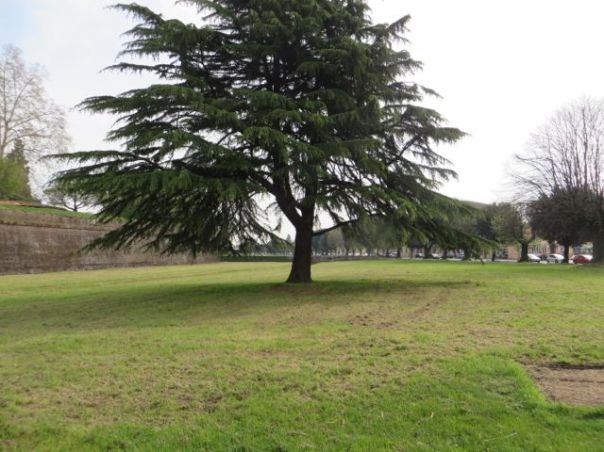 Still outside the walls..