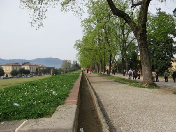 And this is up on top of the walls - Bonissimo!