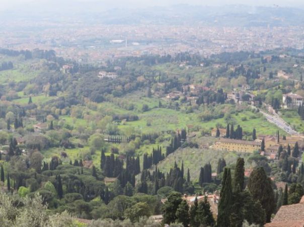 The red roofs of Florence sprawled out below