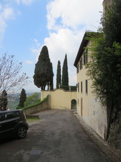 Love those cyprus trees!