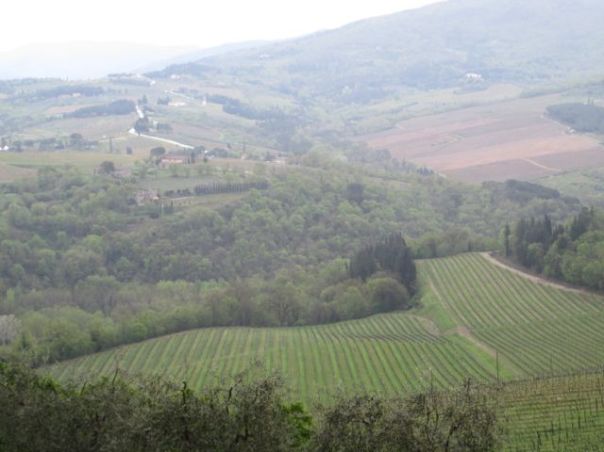 The Tuscan hills, driving to Greve