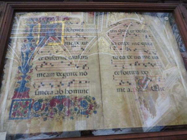 Close up - so incredible.     