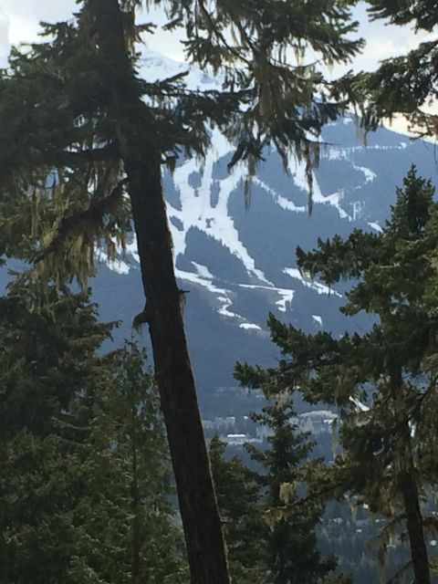 The view from the top of "The Judge", a straight-uphill climb at Rainbow Mountain. 