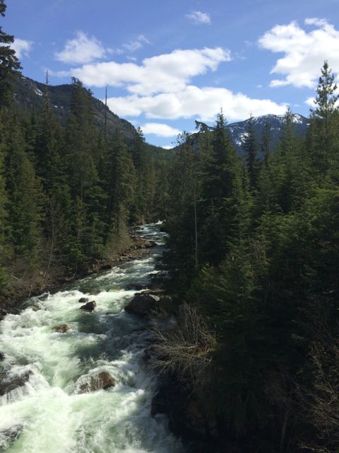 This is one of my favorite hikes, Cheakamus.  Much of the hike is alongside this gorgeous river.