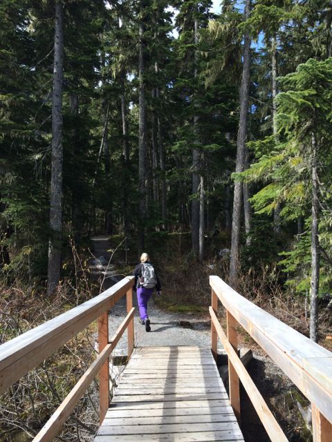 This is Joffre Lakes Provincial Park, a 400 meter climb past 3 gorgeous glacial lakes.