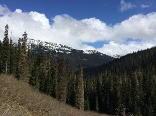 Some of the terrain was open and vast, gorgeous views all around.