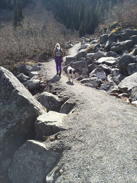 That's her dog Manchas, our "bear" herder. 