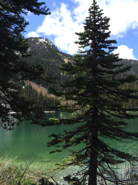 And the colors are beyond vibrant.