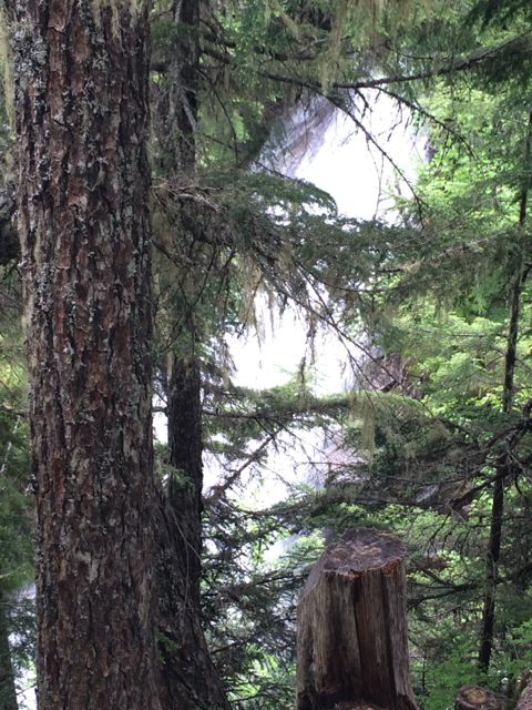 Thundering waterfall, Rainbow Trail